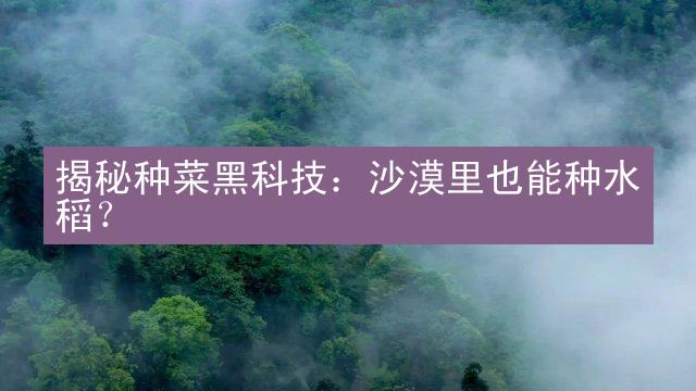 揭秘种菜黑科技：沙漠里也能种水稻？